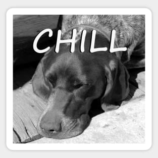 Chill Sticker